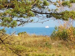 Imagen sin descripción, 4 de 17, botón