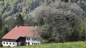 Uklassifisert bilde, 3 av 30, knapp