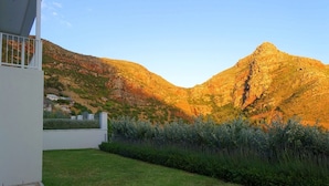 Garden - Breach House (Cape Town)