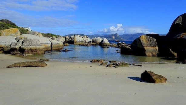 Beach - Breach House (Cape Town)