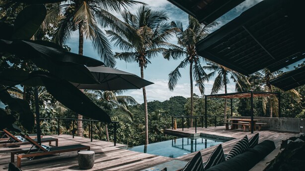 A wooden deck with lounge chairs and a pool, surrounded by palm trees and a view of the forest.
