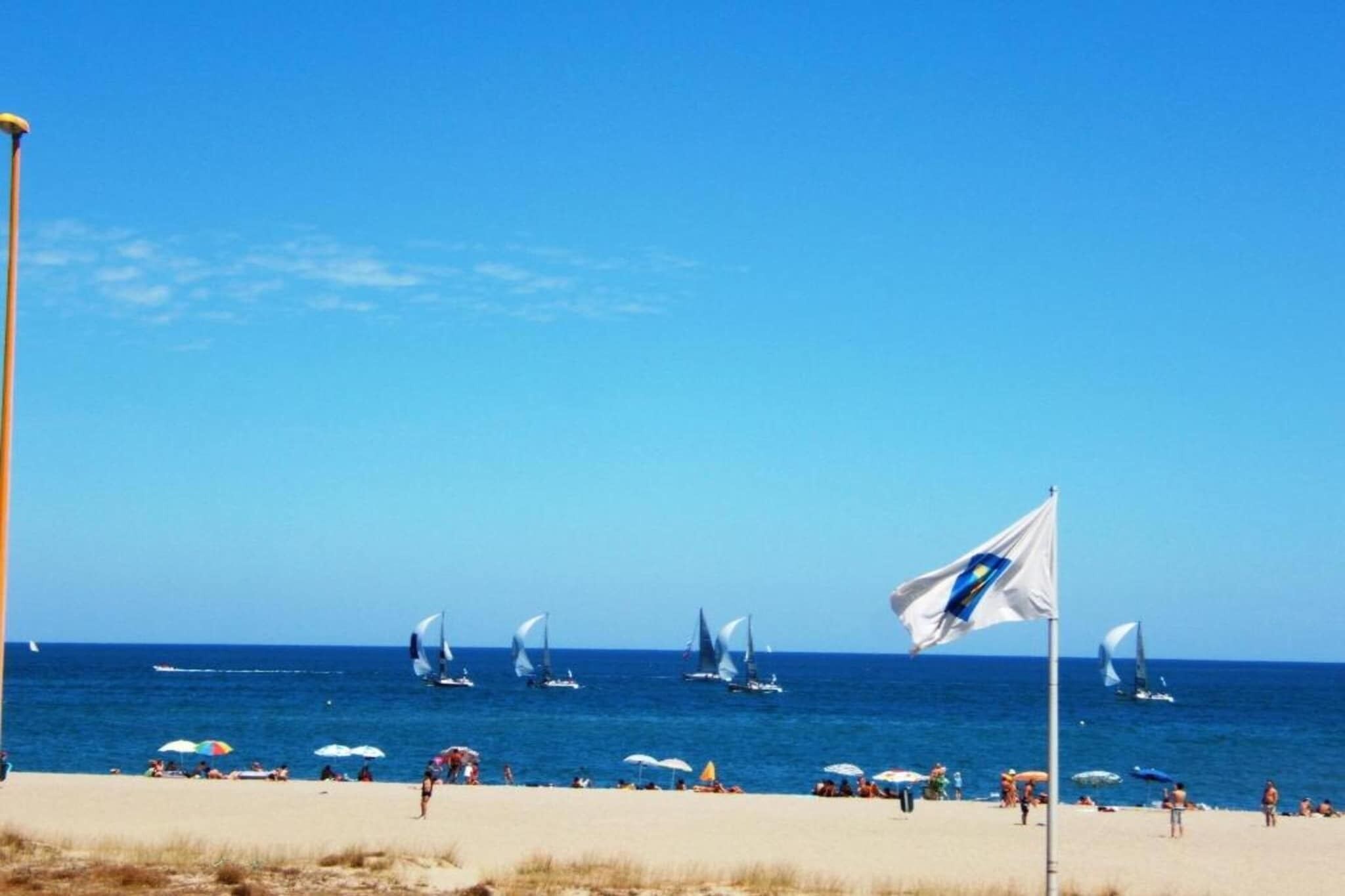 A beach with a flag, people, and sailboats.