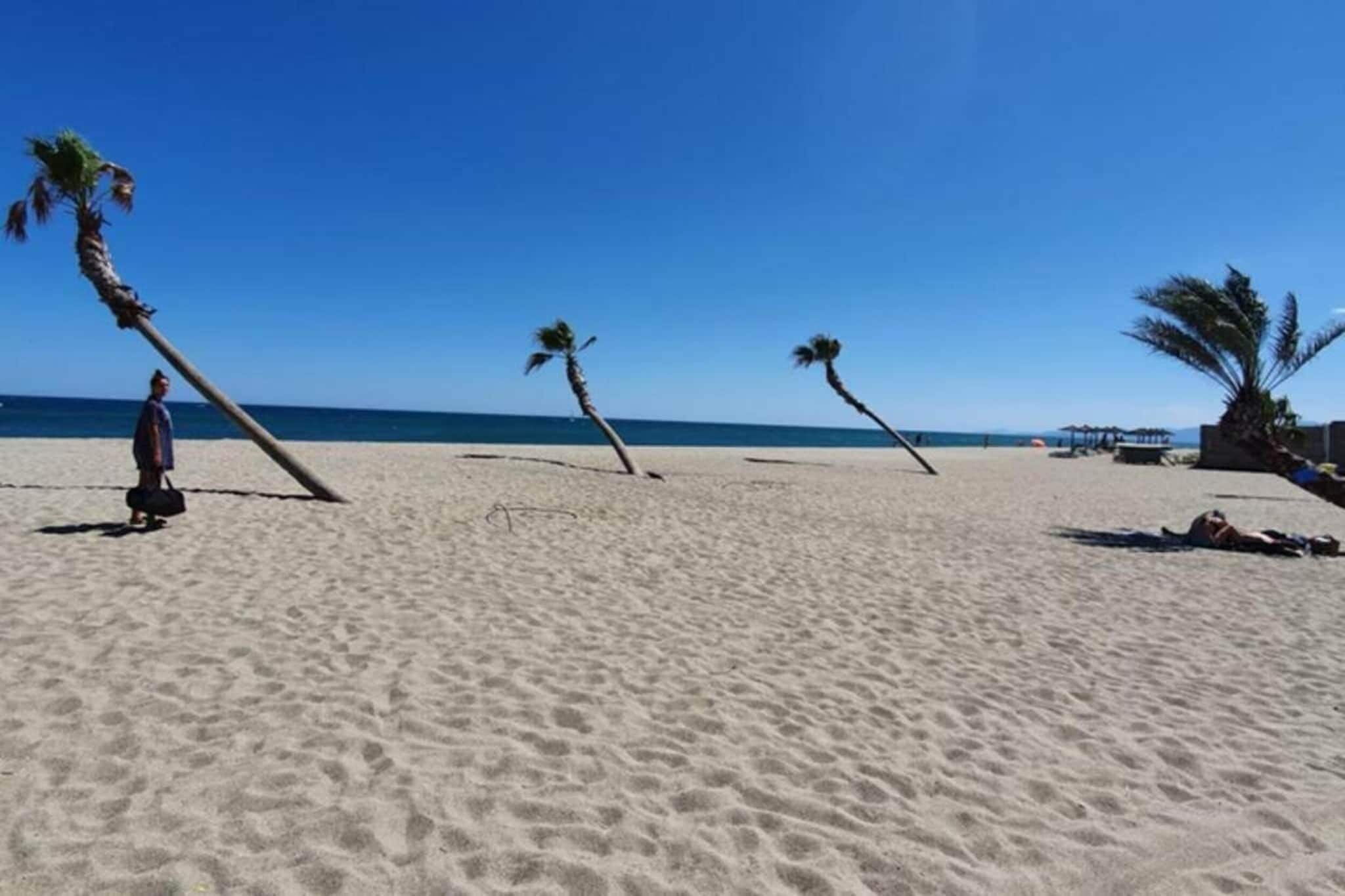 A sandy beach with palm trees and a clear blue sky.