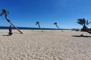 A sandy beach with palm trees and a clear blue sky.