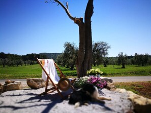 Parco della struttura