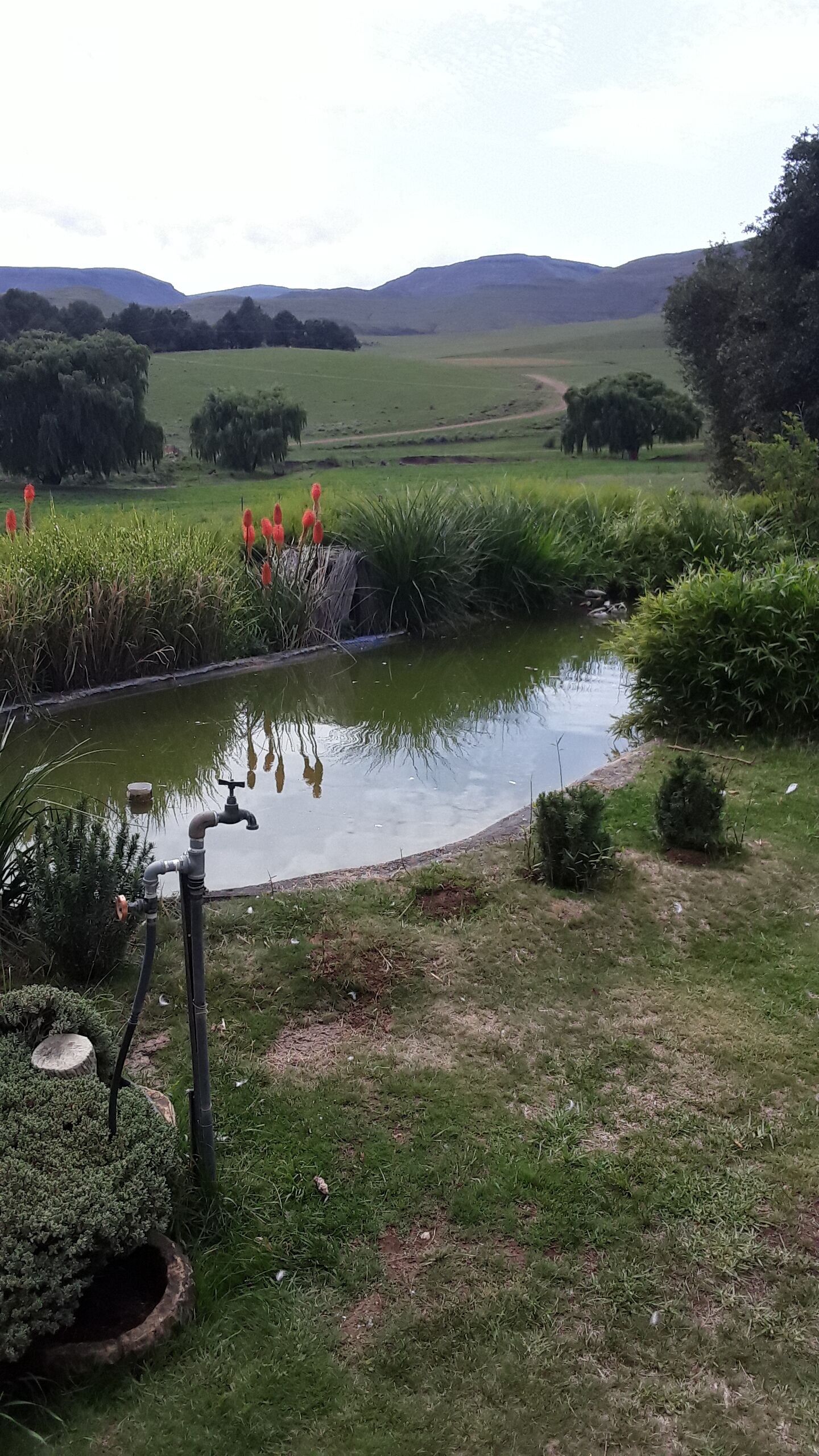 Áreas de la propiedad