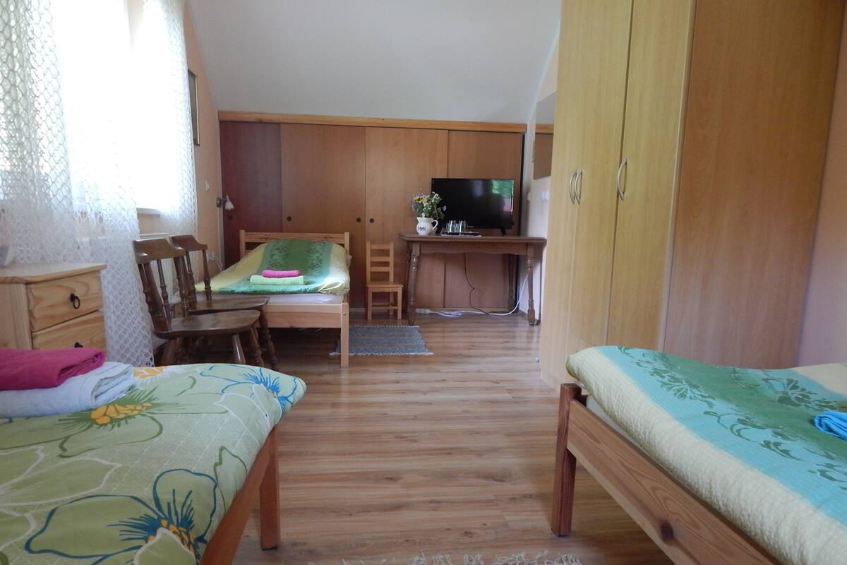 Een slaapkamer met twee bedden, een bureau, een televisie en een kledingkast.