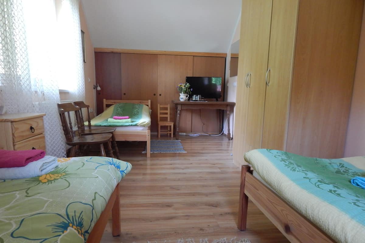 Driepersoonskamer, gedeelde badkamer | Verduisterende gordijnen, een strijkplank/strijkijzer, gratis babybedden