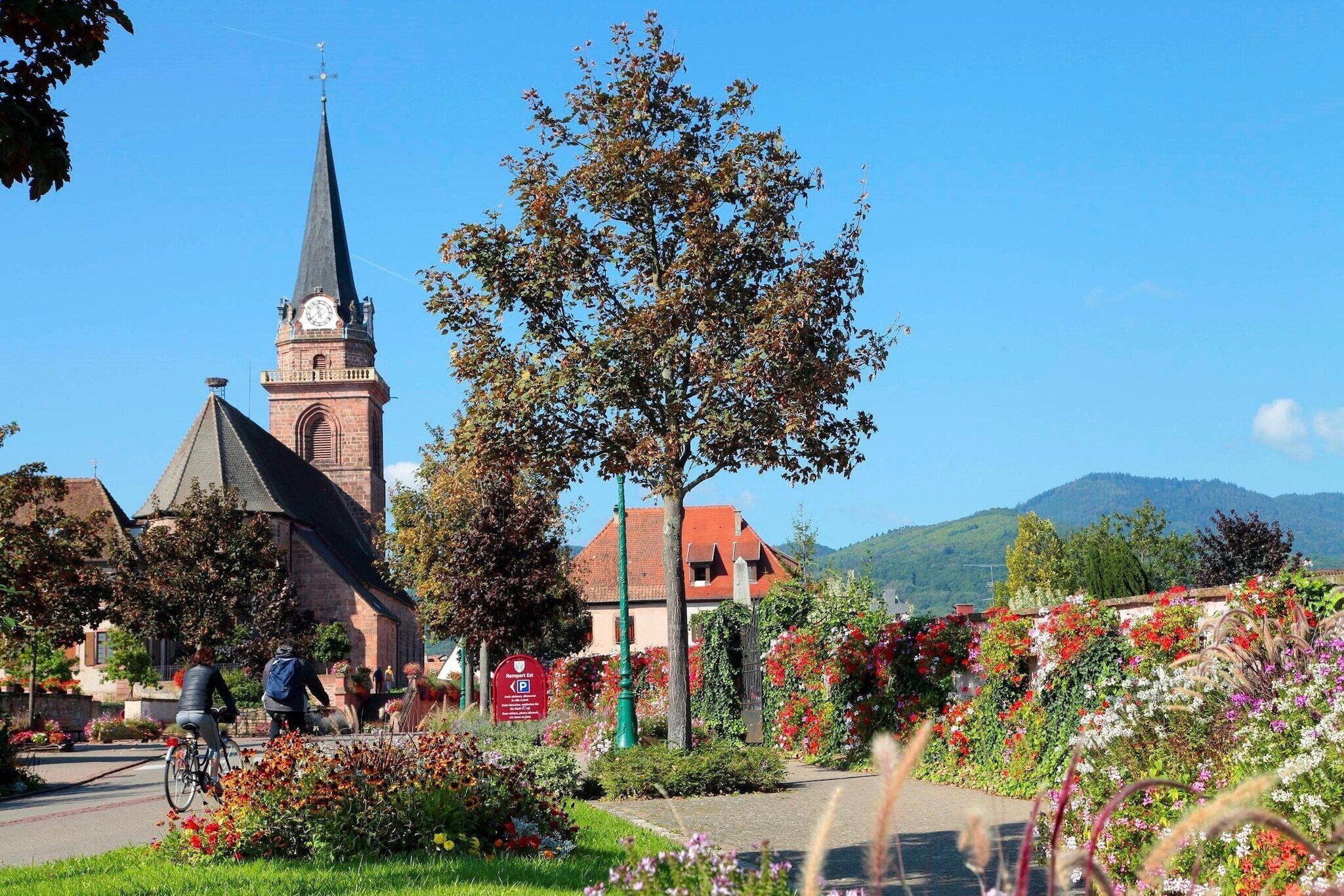 Una iglesia con un campanario alto, un árbol en primer plano y una montaña al fondo.