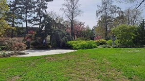 Ein gepflegter Garten mit verschiedenen Bäumen und Sträuchern, einem gut ausgebauten Weg und einem Gewässer.