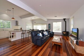 TV, fireplace, books