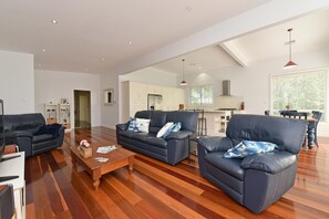 TV, fireplace, books