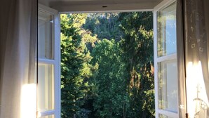 An open window with a view of a lush garden. - Spacious & Bright in Lucca Country Villa  (Capannori, Lucca, Tuscany)