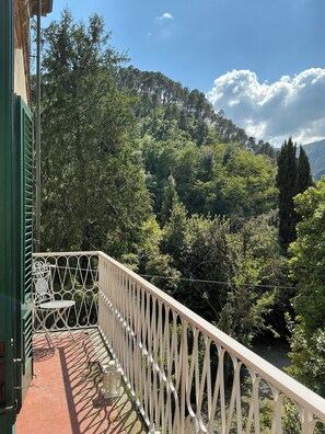 Property grounds - Spacious & Bright in Lucca Country Villa  (Capannori)