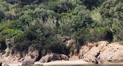 komfortable Meerblick-Wohnung auf der Halbinsel Giens mit Blick auf Porquerolles Hyères