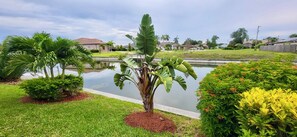 A residential area with a pond, manicured lawns, and various plants.