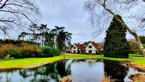 Lake view - Reading Nights Rivendell (Reading)