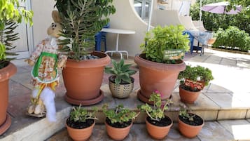 Studio, Accessible | Terrace/patio