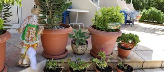 C & A Hotel Apartments