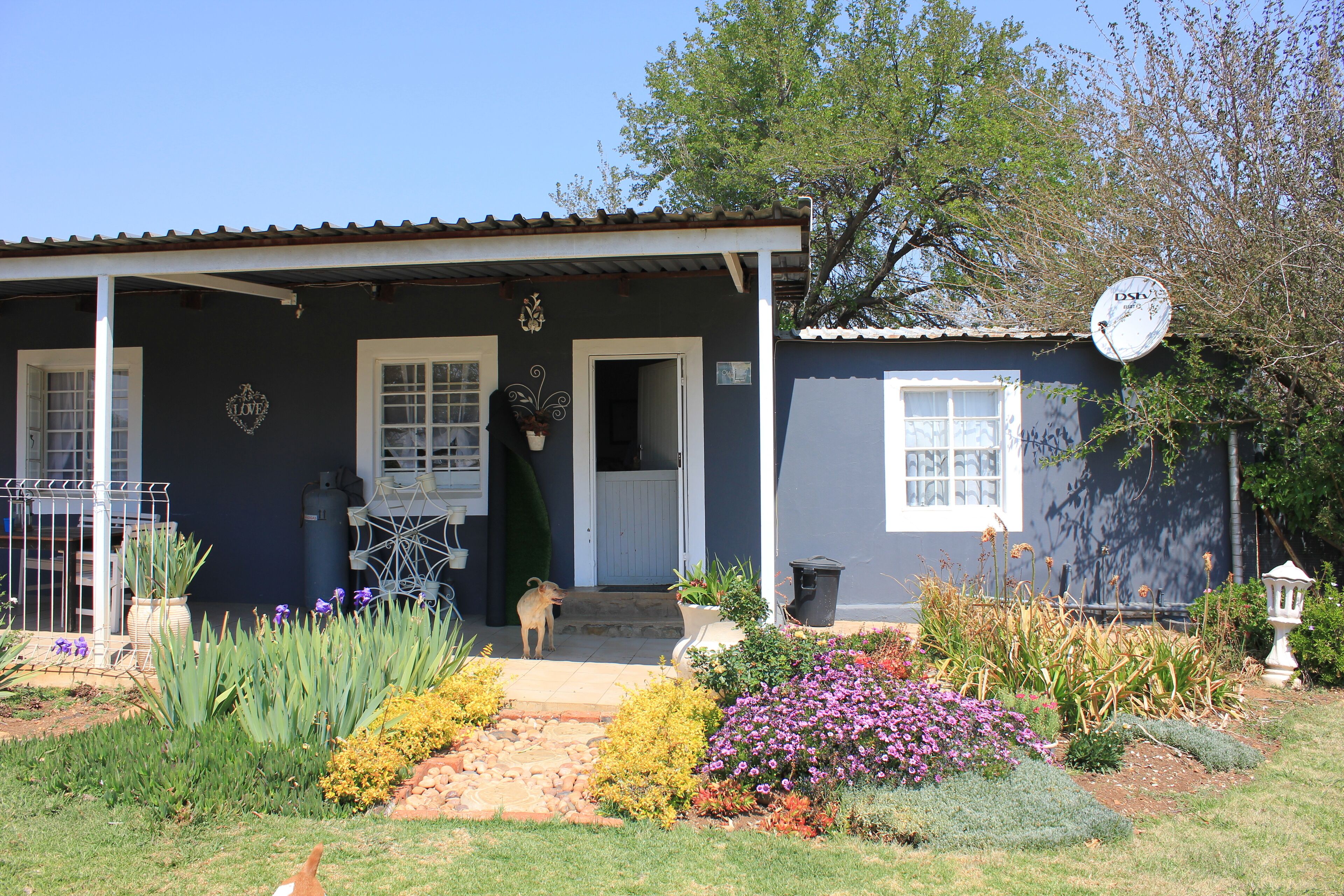 Old Penguin | Terrace/patio