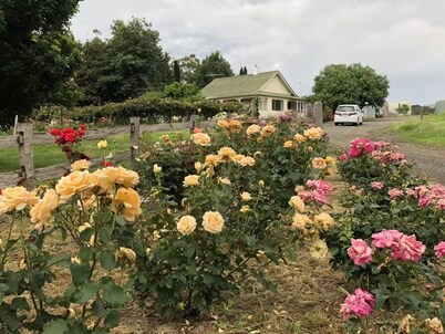 Golden Village Farm