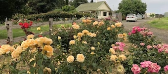 Golden Village Farm
