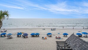 Une plage avec de nombreux parasols bleus, des chaises longues et un palmier.