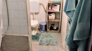 Casa | Banheiro | Chuveiro, secador de cabelo, toalhas de banho