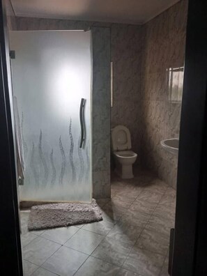 A bathroom with a toilet, a sink, and a shower area.