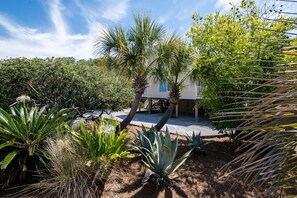 A residential area with a house, palm trees, and various plants.
