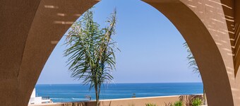 Minos Ambassador - Adults only