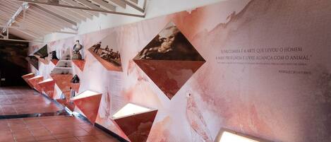 A museum corridor with triangular display cases and a tiled floor.