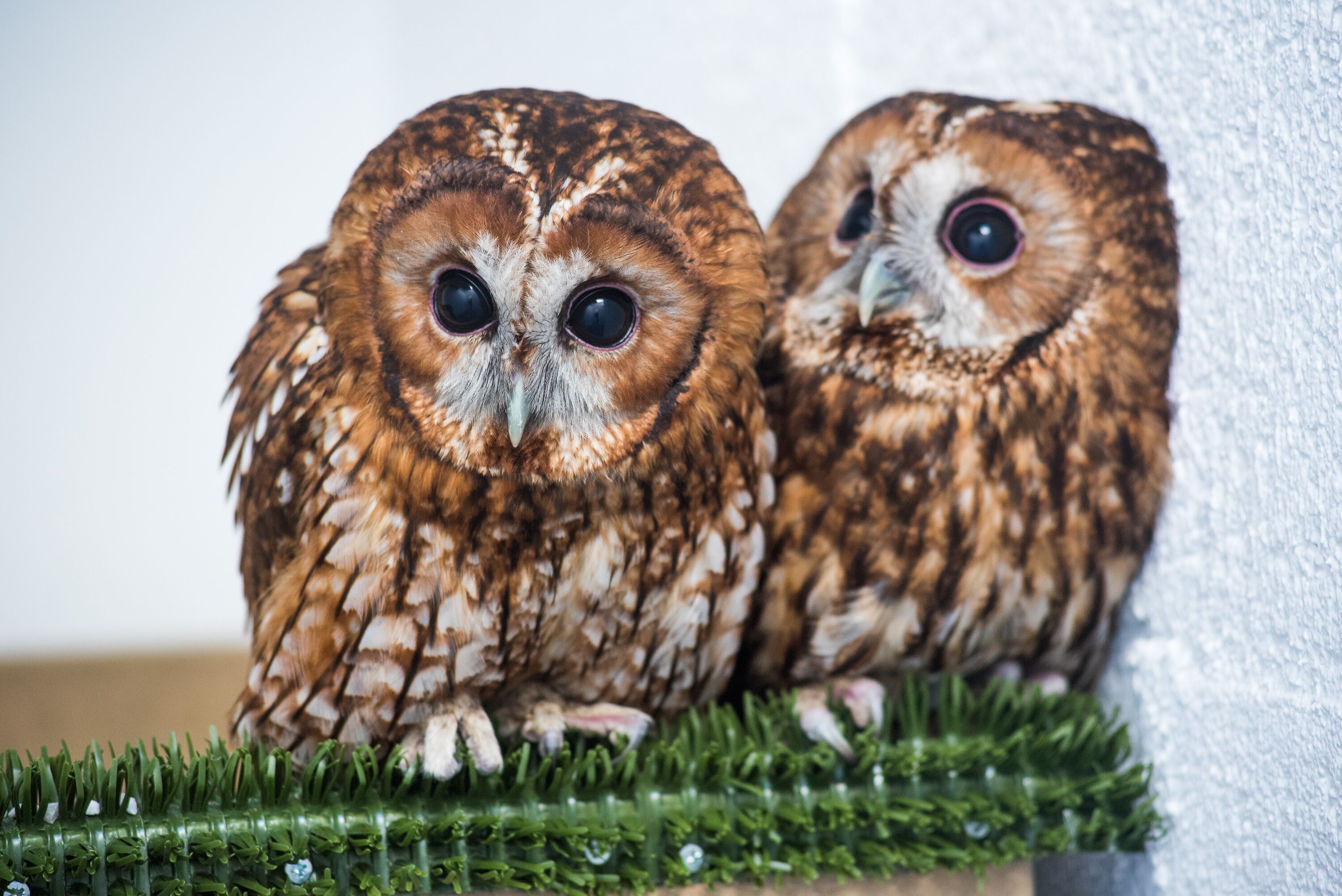 children’s activities