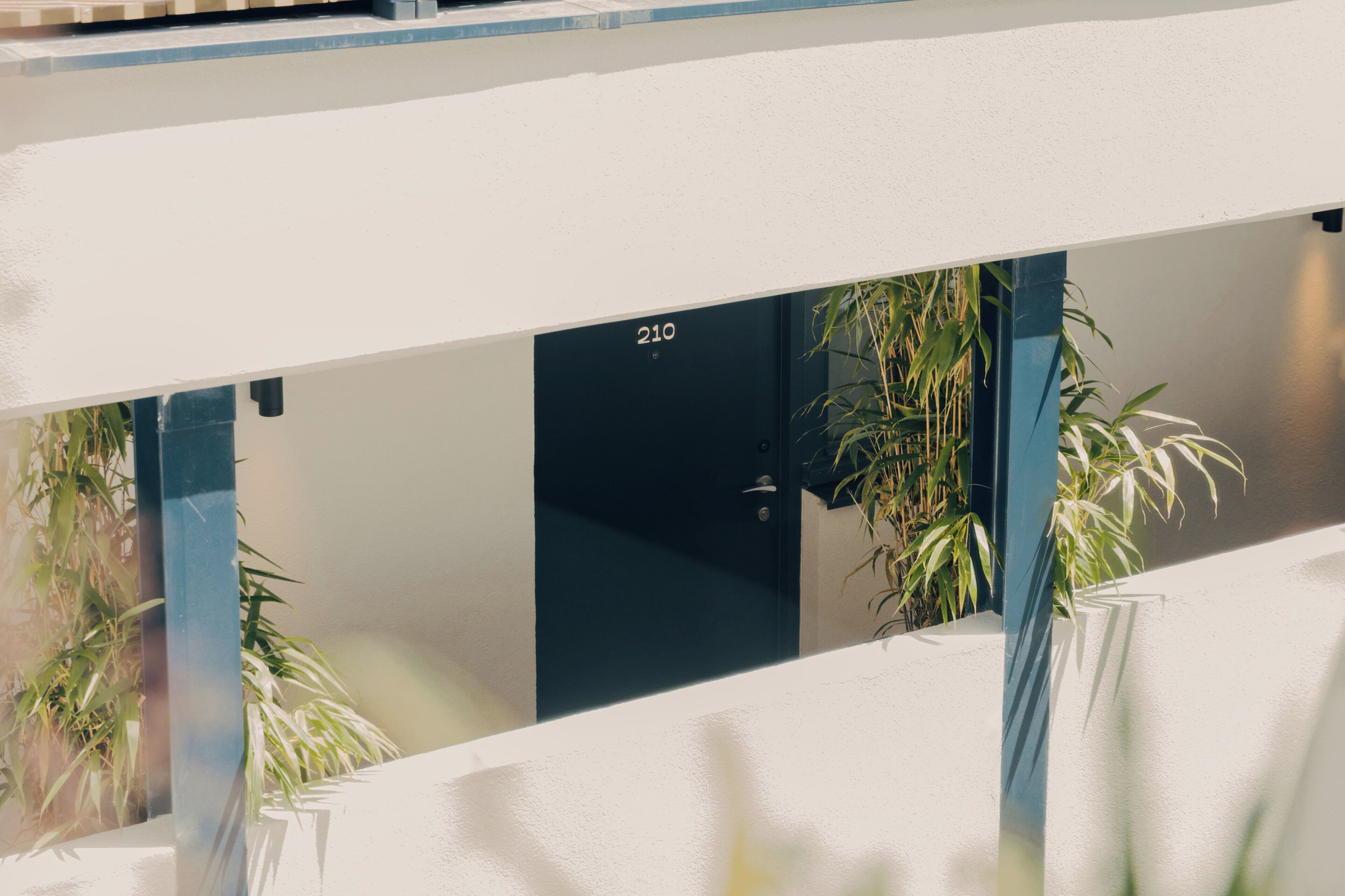 A building facade with a door labeled '210' and a balcony with plants.
