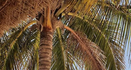 It's so nice at Mama Jo's!