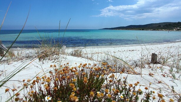 Ein Strand mit klarem, blauem Wasser, weißem Sand und spärlicher Vegetation.