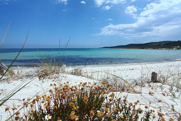 På stranden