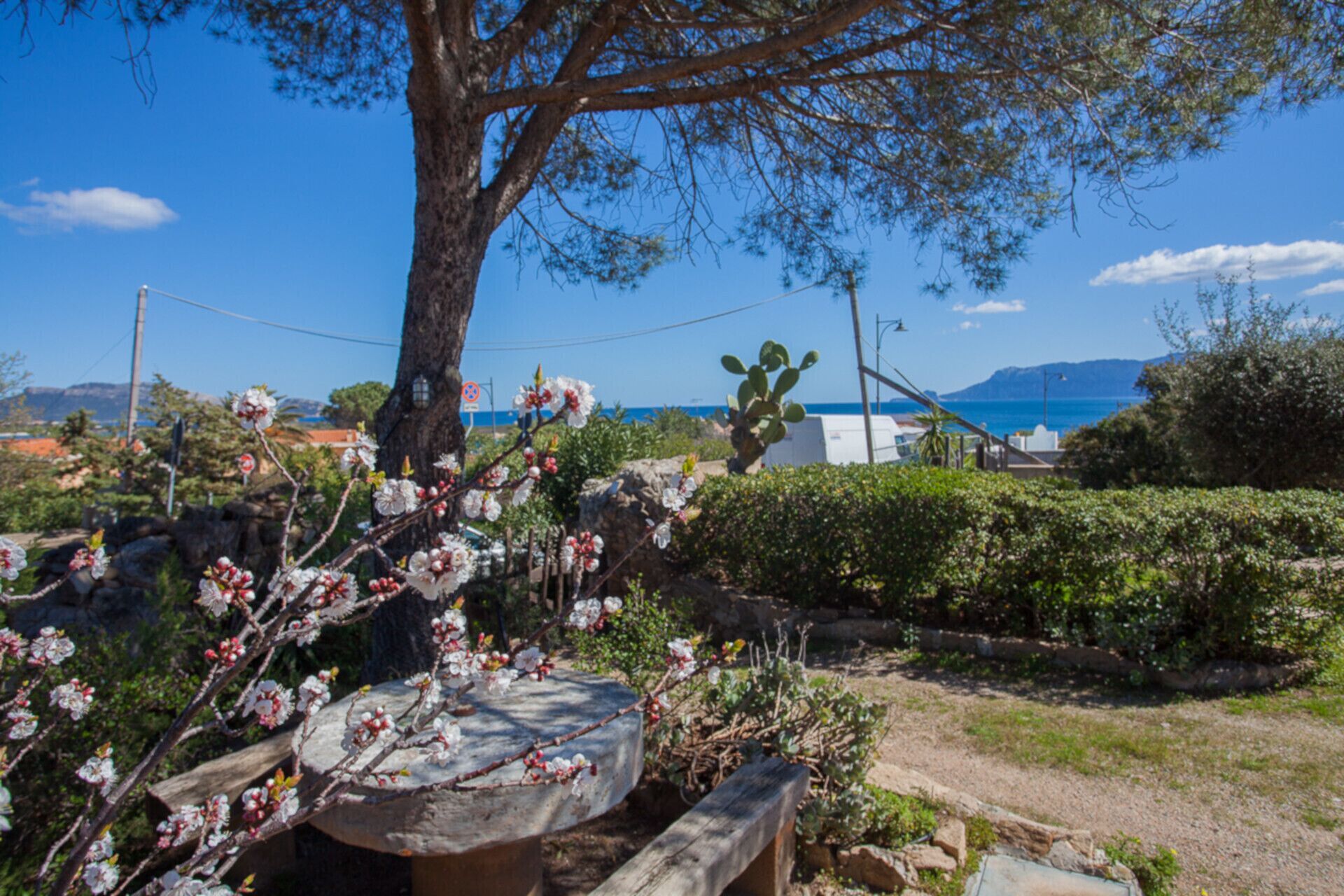 A garden with flowering plants, a large tree, and a view of the sea and mountains in the background.