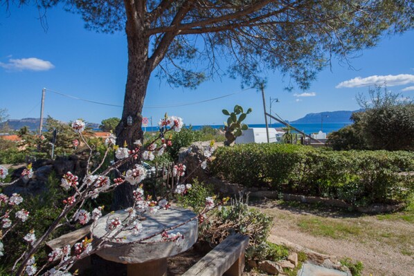 A garden with flowering plants, a large tree, and a view of the sea and mountains in the background.