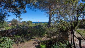 Un jardín con muro de piedra, diversas plantas y vista al océano.