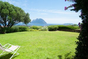 Property grounds - Villa Alberto - one of kind Tavolara view (Porto San Paolo)