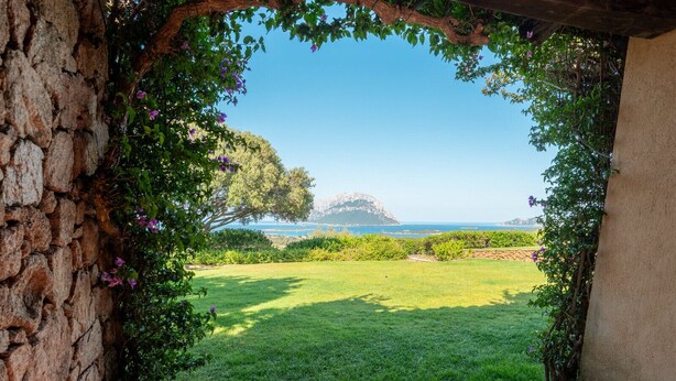 A stone wall with a view of a grassy area and a distant mountain.