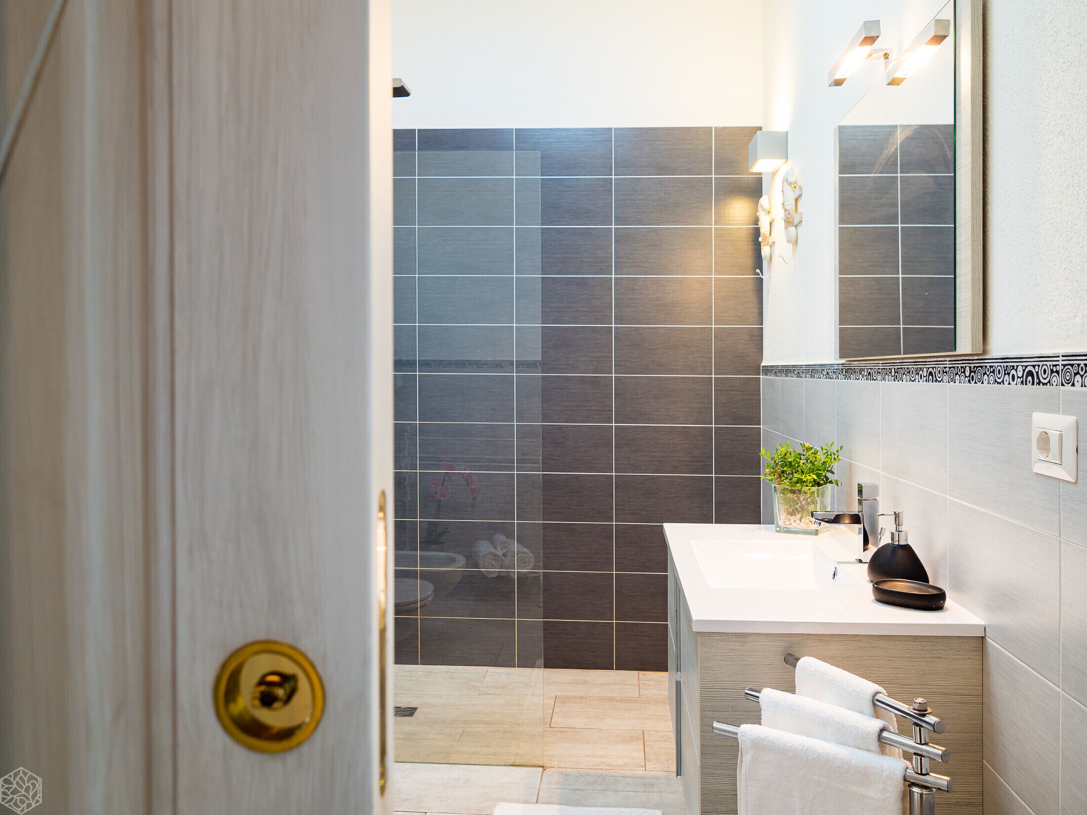 Shower, hair dryer, bidet