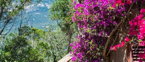 A stone wall with a wooden staircase, surrounded by lush greenery and vibrant purple bougainvillea flowers.