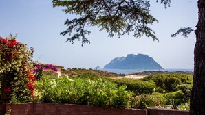 A garden with a view of a mountain and the sea.