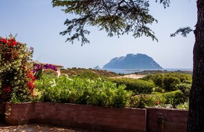 A garden with a view of a mountain and the sea.