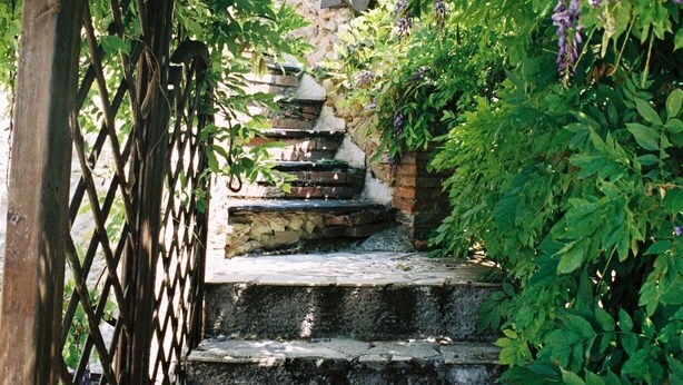 Una escalera de piedra rodeada de vegetación exuberante y flores moradas, que conduce a un portón de madera.