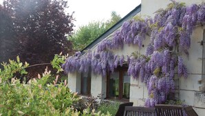 Un edificio cubierto de hiedra con flores púrpuras en las paredes exteriores.