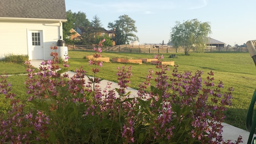 Tervetuloa Tähtien tyttäreen