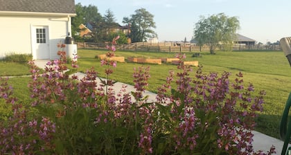 Tervetuloa Tähtien tyttäreen